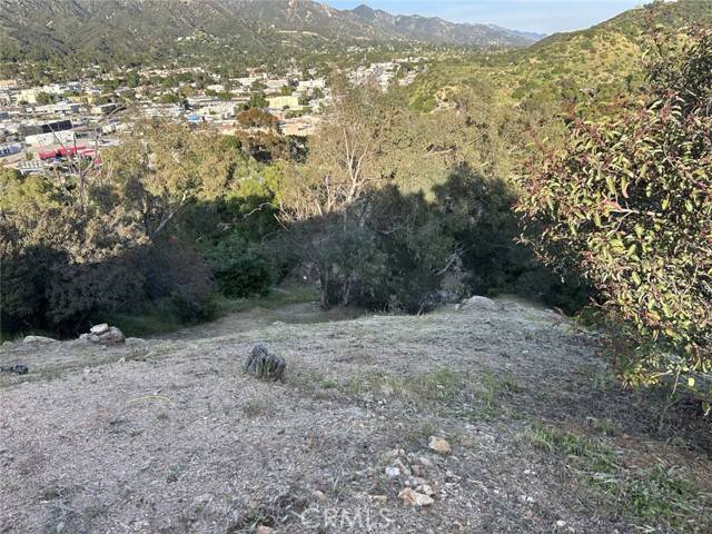 Tujunga (los Angeles), CA 91042,9832 High Top Drive