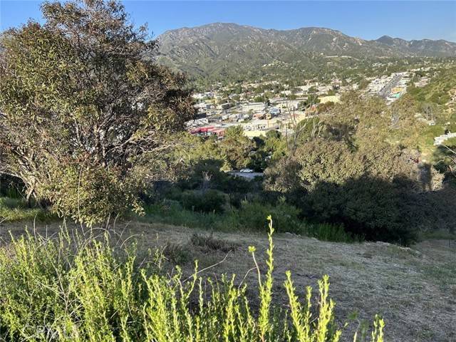 Tujunga (los Angeles), CA 91042,9832 High Top Drive