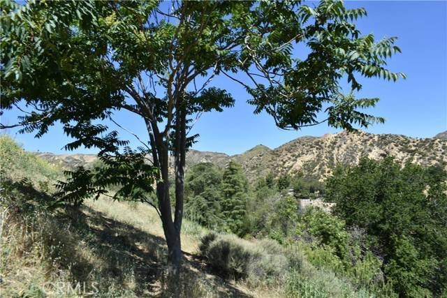 Santa Clarita, CA 92384,0 off off San Martinez Rd