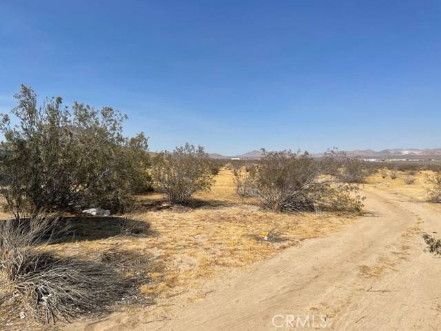 Apple Valley, CA 92307,0 Waalew Road