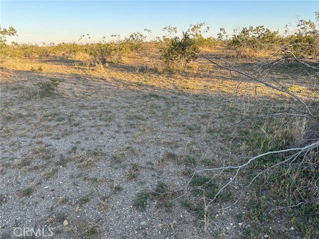 Adelanto, CA 92301,0 Crippen Avenue