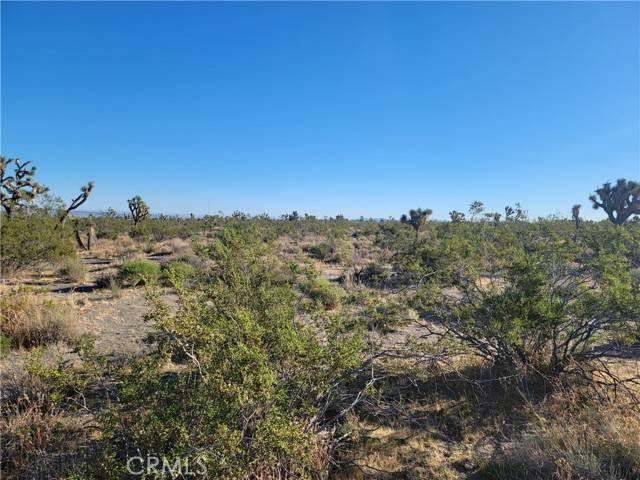 Pinon Hills, CA 92372,0 Buckwheat Road