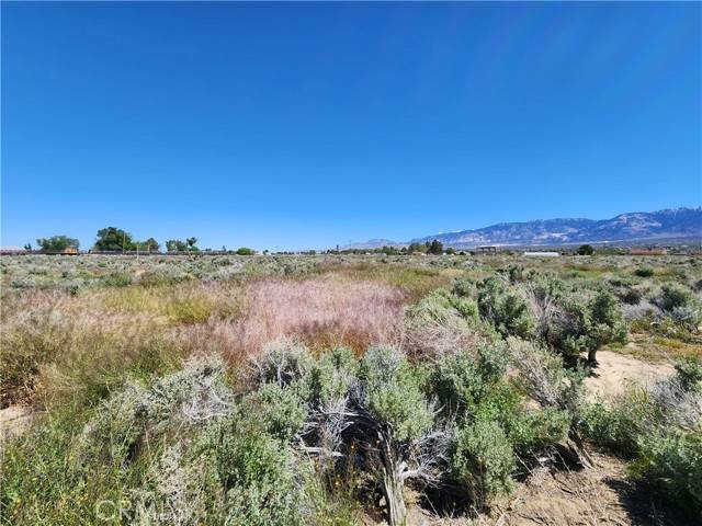 Lucerne Valley, CA 92356,1 Near Sunset Road