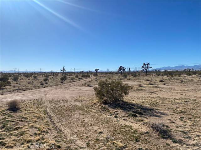 Adelanto, CA 92301,0 Hibiscus Road