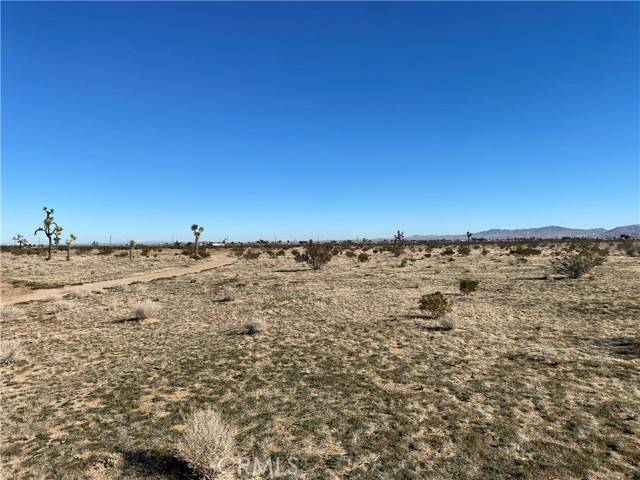 Adelanto, CA 92301,0 Hibiscus Road