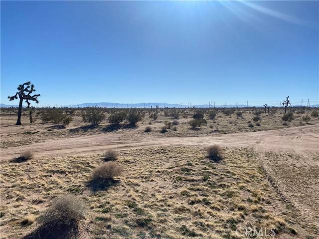 Adelanto, CA 92301,0 Hibiscus Road