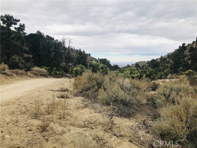 Pinon Hills, CA 92372,0 Sand Canyon