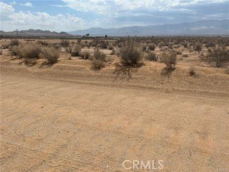 Lucerne Valley, CA 92356,0 Rock Rose