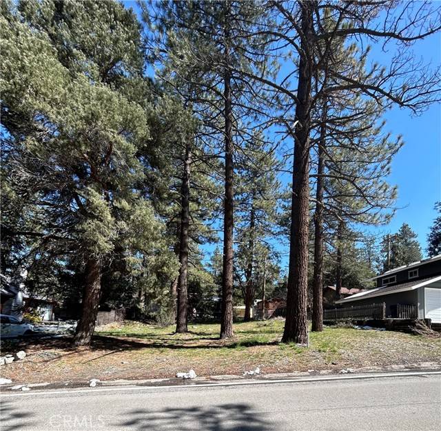 Wrightwood, CA 92397,0 Sheep Creek Drive