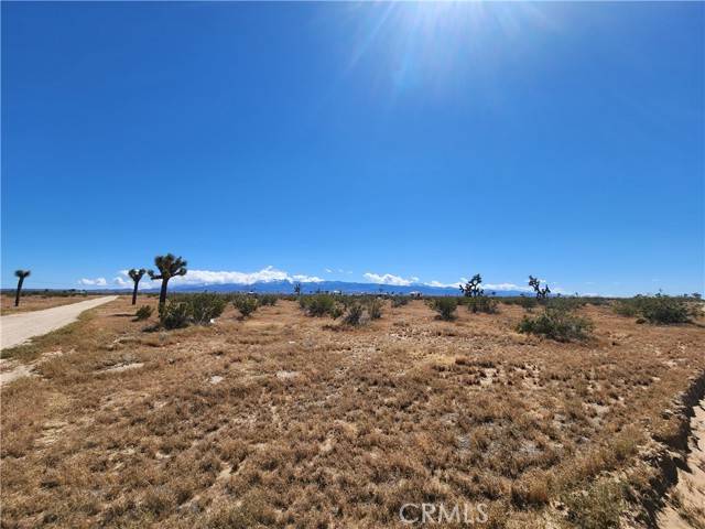 Phelan, CA 92372,0 Mojave Drive