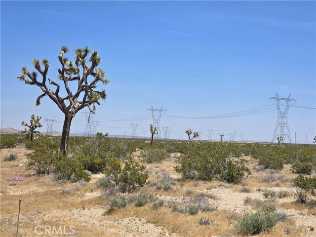 Adelanto, CA 92301,10 Beaver Avenue