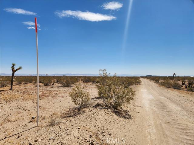 Joshua Tree, CA 92252,32 Sonora Road