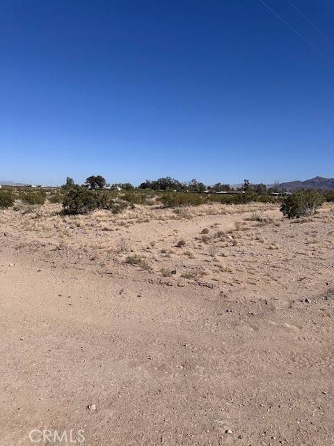 Newberry Springs, CA 92365,0 Manatee