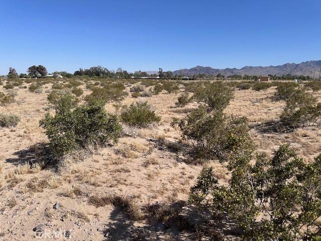 Newberry Springs, CA 92365,0 Manatee