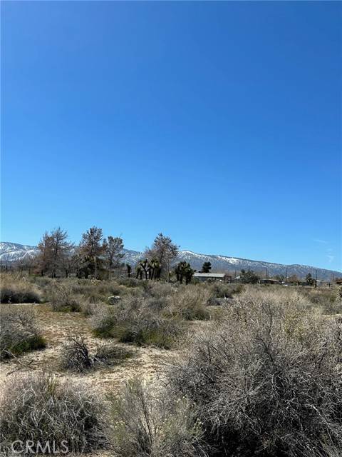 Llano, CA 93544,0 Vac/Vic Avenue