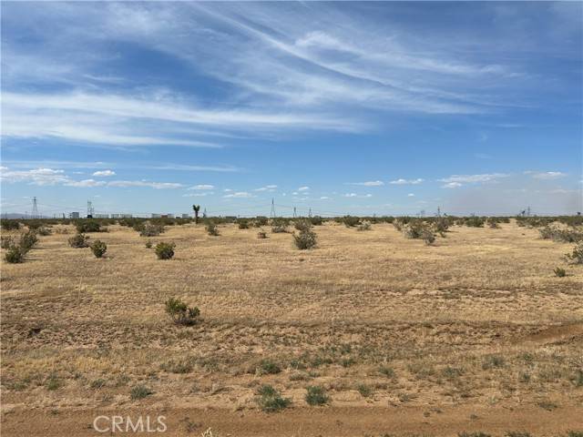 Adelanto, CA 92301,0 Cassia