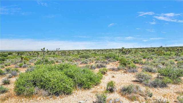 Llano, CA 93544,0 Fort Tejon