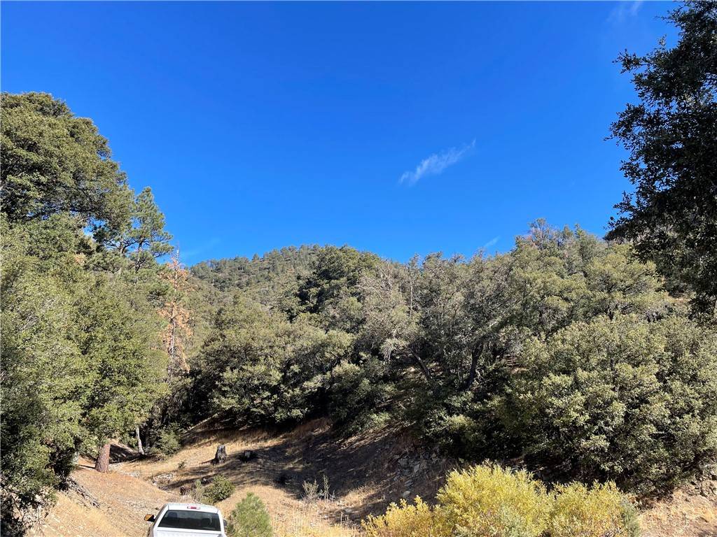 Tehachapi, CA 93561,0 West Side of Double Mtn