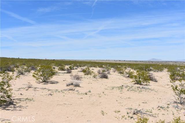 Twentynine Palms, CA 92277,0 Morongo Road