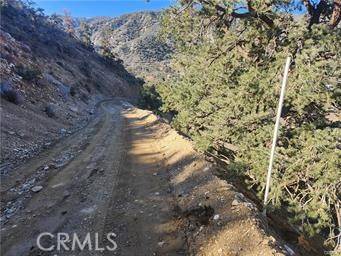 Wrightwood, CA 92397,3036 Scenic Drive