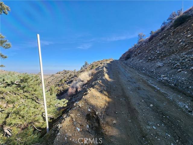 Wrightwood, CA 92397,3036 Scenic Drive