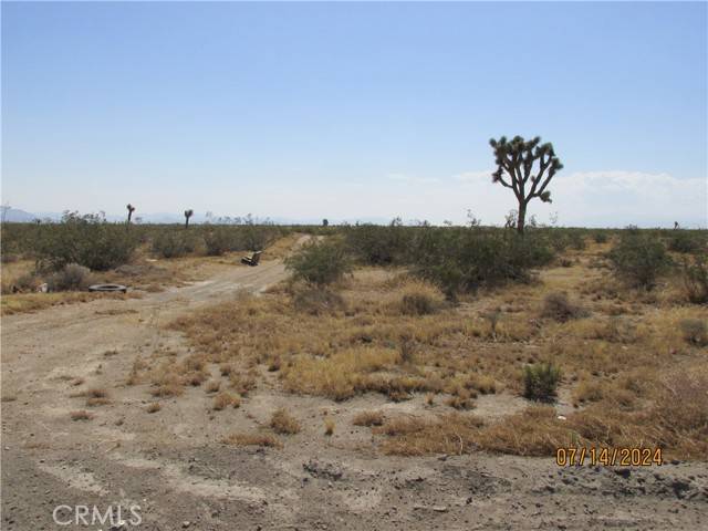 Adelanto, CA 90301,0 Richardson