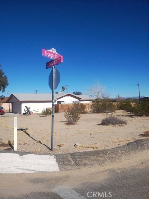 Twentynine Palms, CA 92277,0 Encelia Avenue