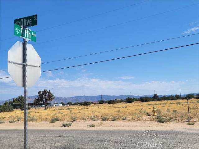 Hesperia, CA 92345,0 Olive Street