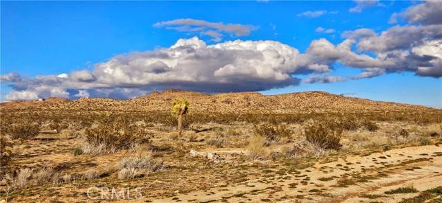 Adelanto, CA 92301,800 Adobe Mountain Rd.