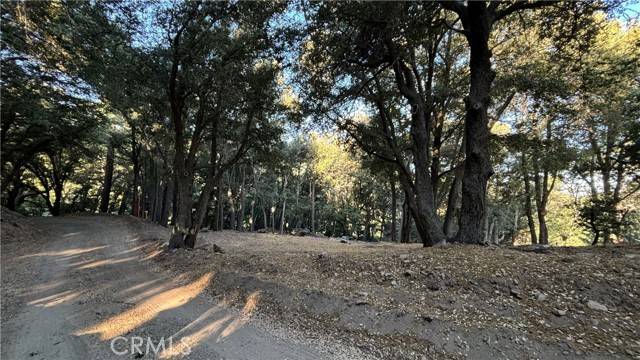 Cedarpines Park, CA 92322,722 Mojave River Road