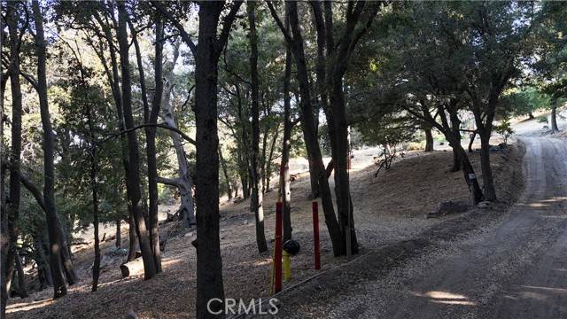 Cedarpines Park, CA 92322,722 Mojave River Road