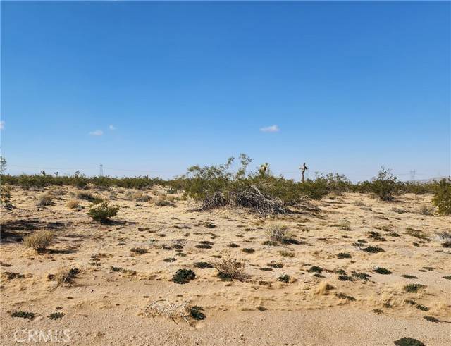 Lucerne Valley, CA 92356,500 Gazelle (near) Road