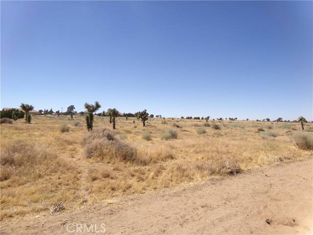 Phelan, CA 92371,0 Yucca Terrace Drive