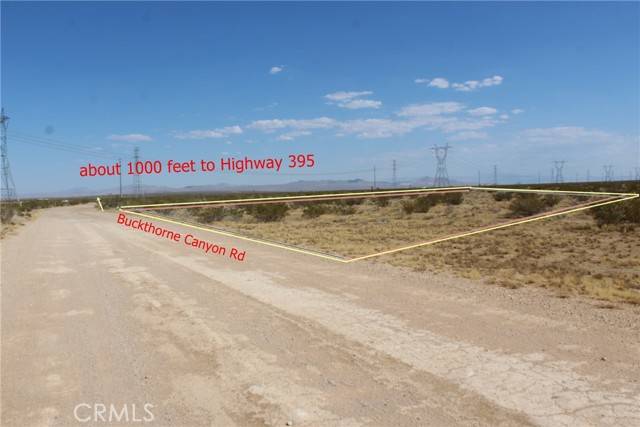 Adelanto, CA 92301,111 Buckthorne Canyon Road