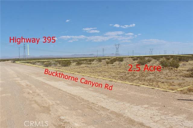 Adelanto, CA 92301,111 Buckthorne Canyon Road