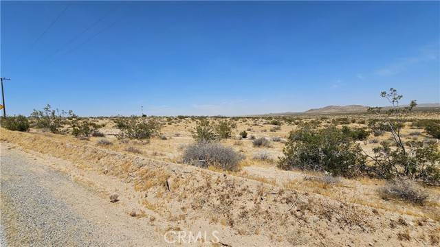 Helendale, CA 92342,1 Buckhorn Trail