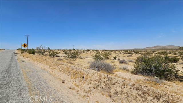 Helendale, CA 92342,1 Buckhorn Trail