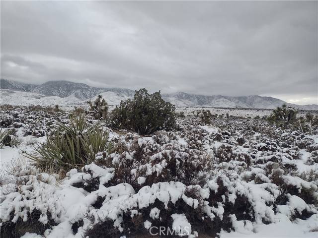 Lucerne Valley, CA 92356,10 Mesa