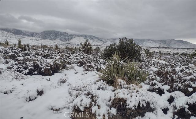 Lucerne Valley, CA 92356,10 Mesa