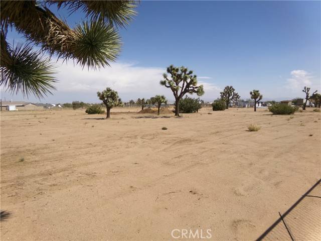 Phelan, CA 92371,0 Mesa Road