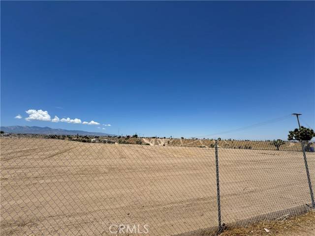 Hesperia, CA 92344,0 VL Muscatel