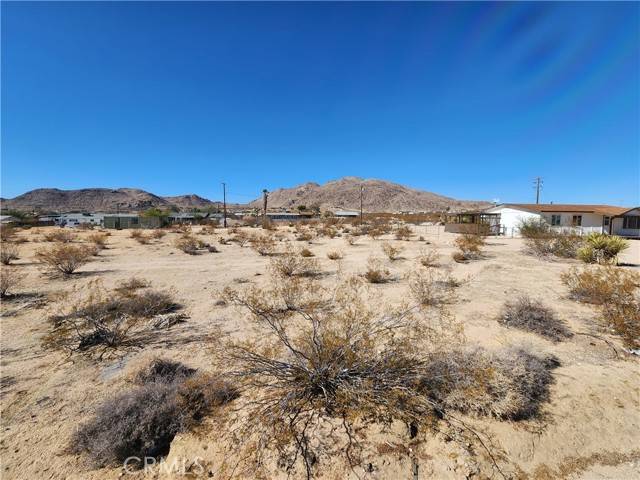 Joshua Tree, CA 92252,188 Avenida La Espana Daga