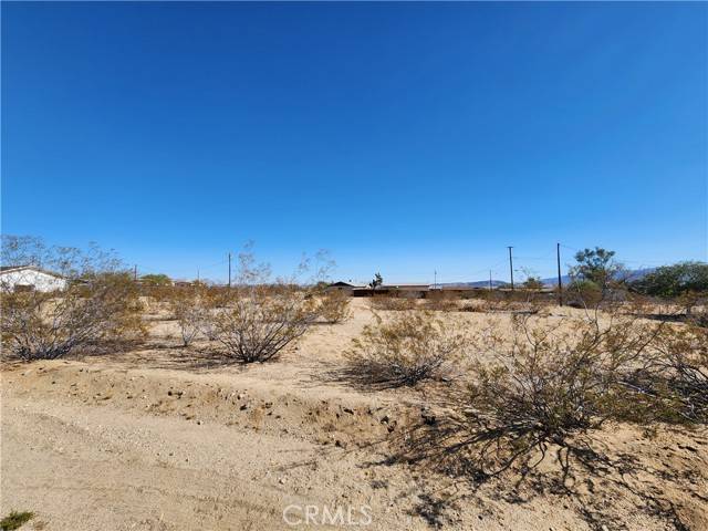 Joshua Tree, CA 92252,50 Avenida Lane