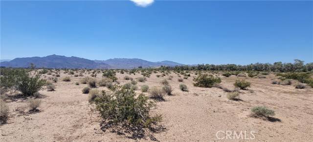 Newberry Springs, CA 92365,0 Black Butte Rd