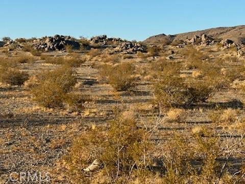 Lucerne Valley, CA 92356,0 Smoke Bush Road