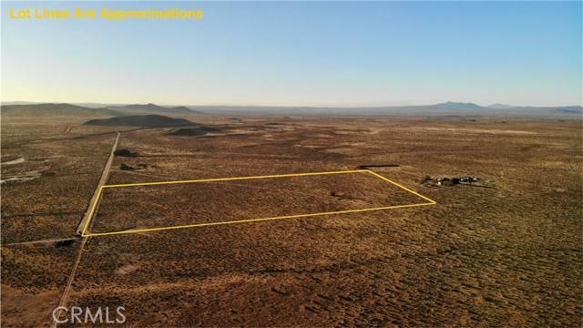 Hinkley, CA 92347,0 Burnt Tree