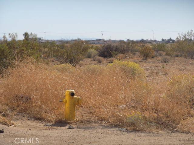 California City, CA 93505,1 Brown