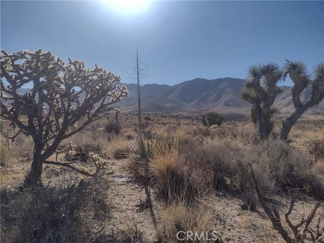 Lucerne Valley, CA 92356,40 Powerline Road