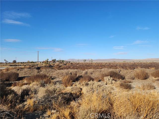 Adelanto, CA 92301,10000 El Mirage Road