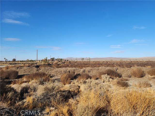 Adelanto, CA 92301,10000 El Mirage Road